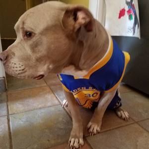 Meet your Posher, Haley